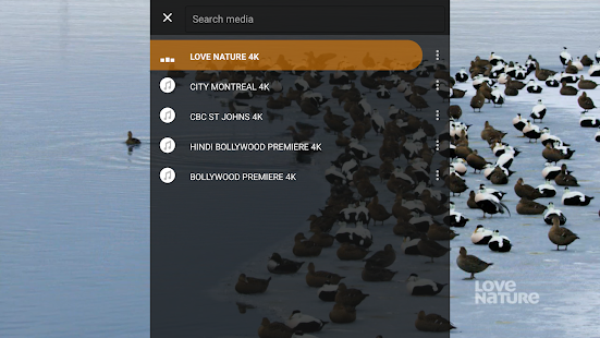 External Stalker Player Screenshot
