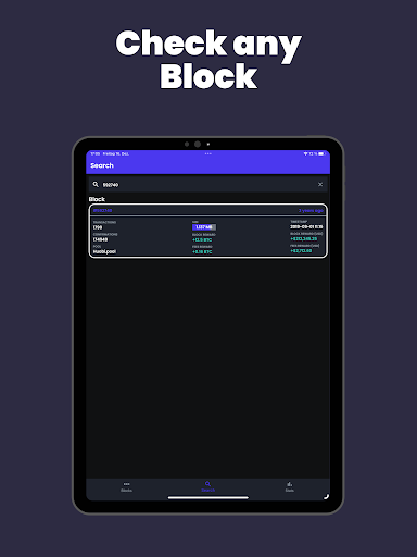 Bitcoin Block Explorer 14