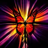 3D Butterfly 070 icon