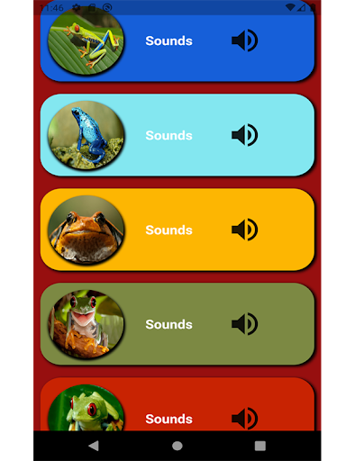 Sounds of frog Screen 2