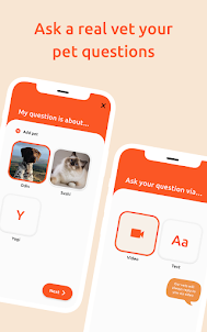 VidiVet: Your digital vet