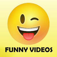 Zilli Funny Video Downloader