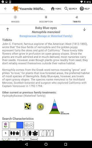 Screenshot of Yosemite Wildflowers