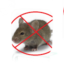 Rat Control Guide