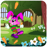 Jungle Rabbit Jump Gogo icon