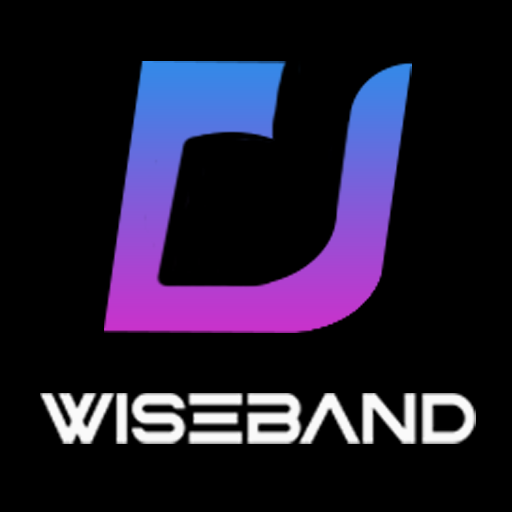 wiseband logo