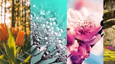 Flower Imagesのおすすめ画像2