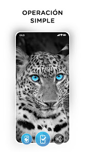 Screenshot 12 Fondos de pantalla increíbles android