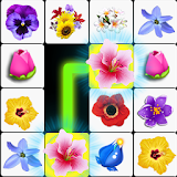 Onet Blossom Flowers icon