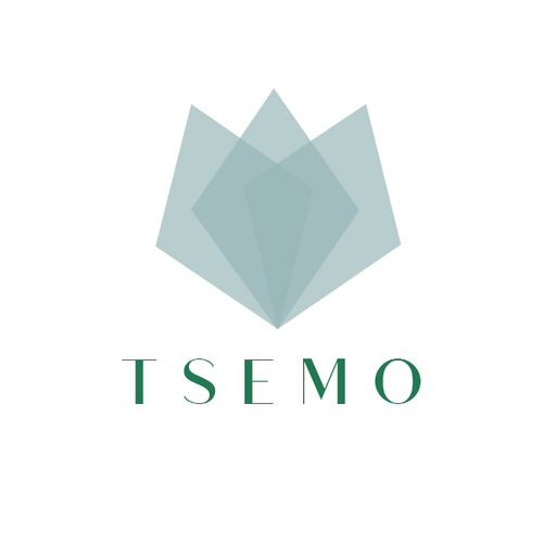 Tsemo Windowsでダウンロード