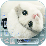 Cute Kitty Cat Keyboard Theme icon