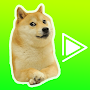 Cheems Doge Stickers For WA- Animated