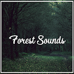Cover Image of 下载 Relax Nature Forest Sounds 5.1 APK