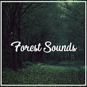 Relax Forest Sounds: Ambient Nature Sounds 5.1 Icon