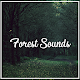 Relax Nature Forest Sounds Scarica su Windows