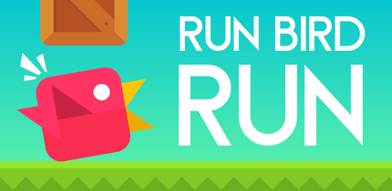 Run Bird Run