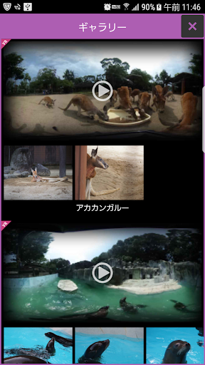 愛媛県立とべ動物園 Screen 3