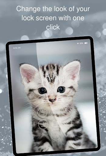 wallpapers with cats