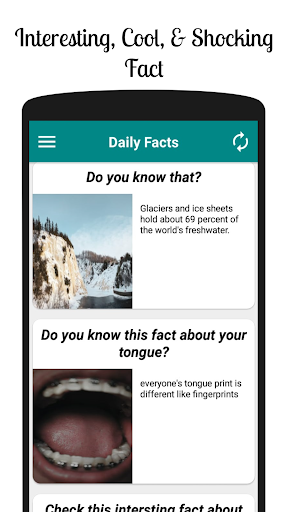 Daily Facts Screen 2