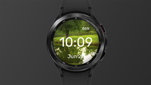 Screenshot image