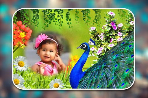 Peacock Photo Frames Screen 2
