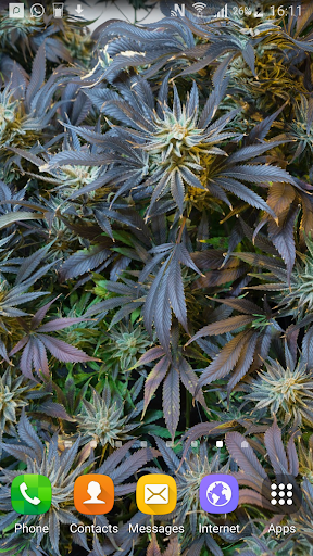 Weed Live Wallpaper Screen 3