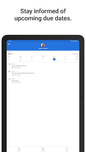 Screenshot of Canvas Parent