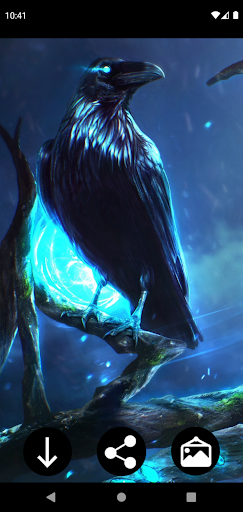 Raven Wallpapers Screen 3