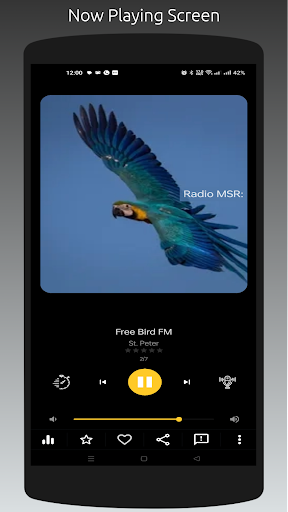 Radio MSR Montserrat Stations