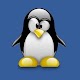 Penguin - Easy Way to Earn Money Download on Windows
