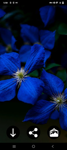 Blue Wallpapers Screen 3