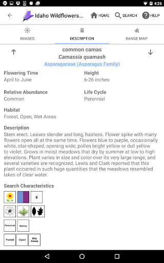 Screenshot of Idaho Wildflowers