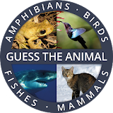 Guess the Animal Quiz App: Guessing Games for Free icon