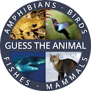 Top 50 Trivia Apps Like Guess the Animal Quiz App: Guessing Games for Free - Best Alternatives