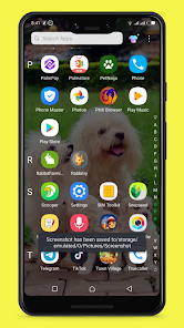 Pet Naija 3.1 APK + Mod (Free purchase) for Android