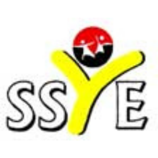 NGO Plus logo