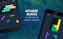 screenshot of Infinite Block Puzzle