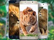screenshot of Lion Live Wallpaper App