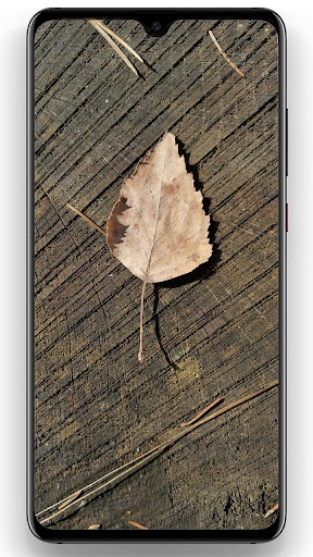 Theme for Realme C3 Screen 3