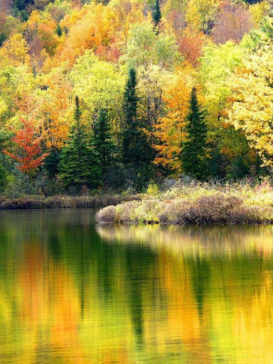 Beautiful landscapes Screen 3