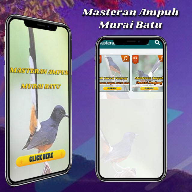 Masteran Murai Batu MP3 - 4.3 - (Android)