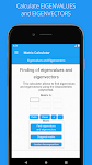 screenshot of Matrix Calculator | solution
