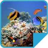 Ocean Reef Aquarium LWP icon