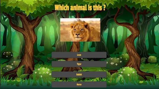Which Animal is This ?