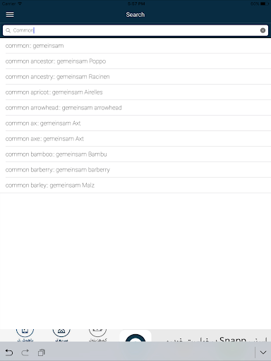 English : Turkish Dictionary Screenshot