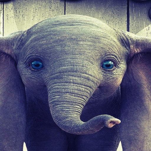 Cute Elephant Puzzle logo