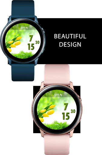 Green Forest Digital 12-24 WF