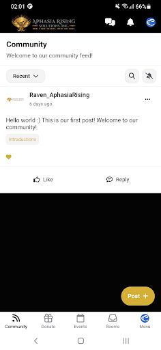 Aphasia Rising Community