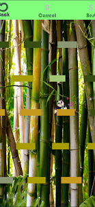 Bamboo panda