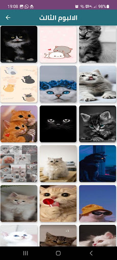 Android application خلفيات قطط CATZ screenshort